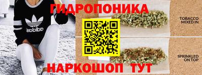 гидра Тулун