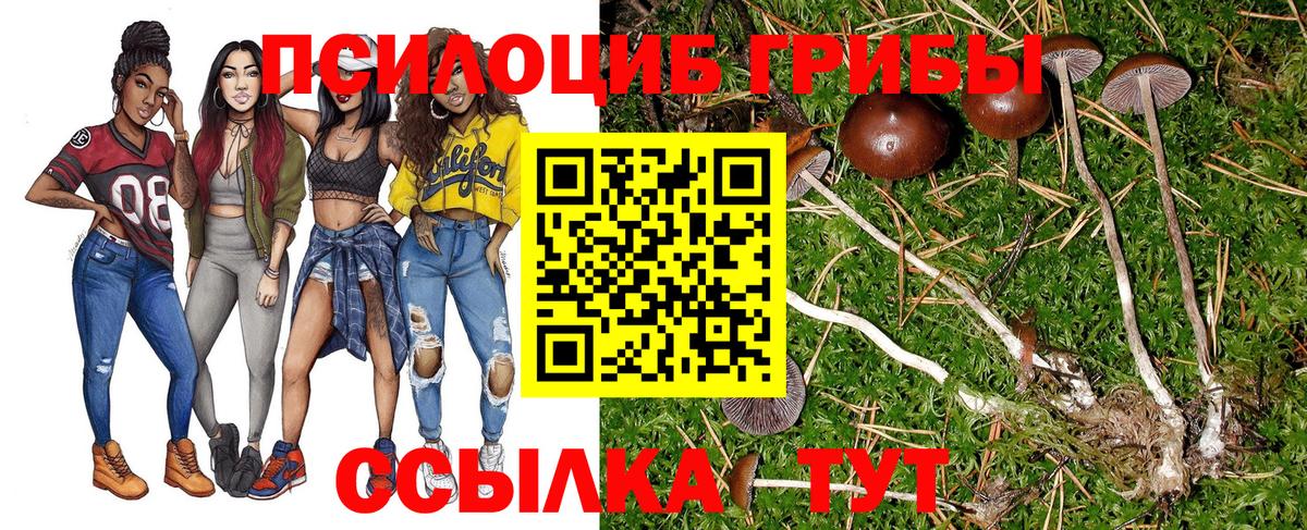 Галлюциногенные грибы мицелий  Галлюциногенные грибы мицелий  Вход с VPN  Электрогорск 