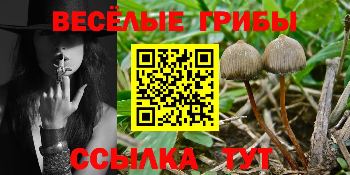 Галлюциногенные грибы MAGIC MUSHROOMS Электрогорск